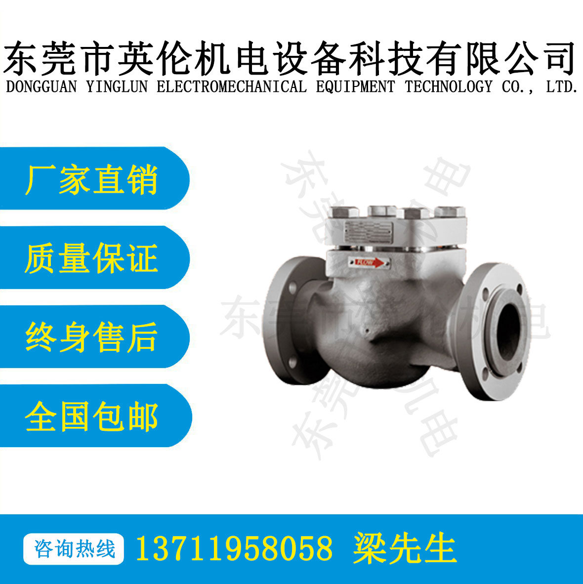 F650係列鑄鋼止回閥（fá）