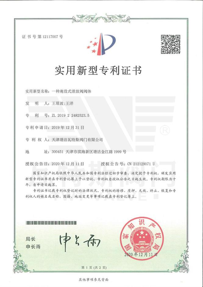 一種淹沒（méi）式（shì）泄放閥閥體