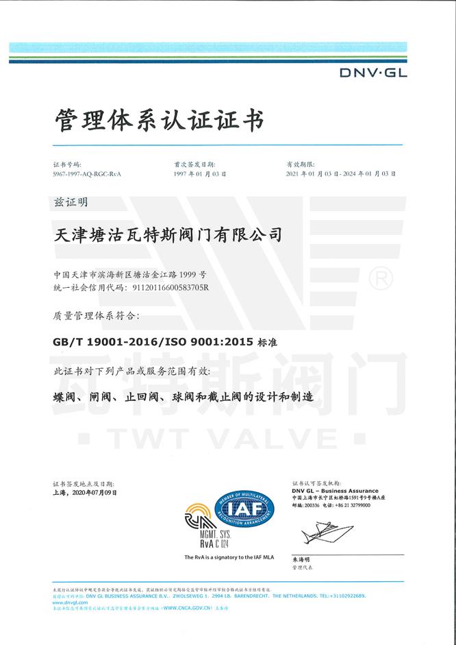 ISO-19001：2015質量體係認證中文