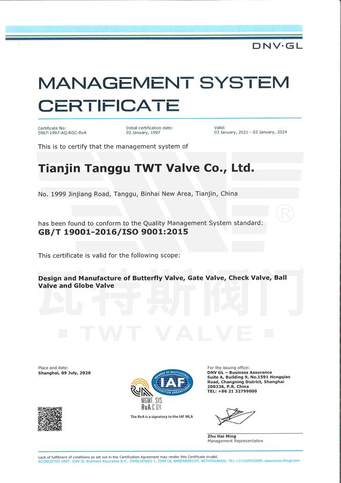 ISO-19001：2015質量體係認證英文